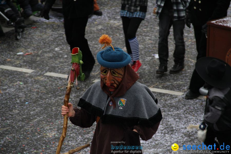 Narrentreffen: Rielasingen am Bodensee, 29.01.2012