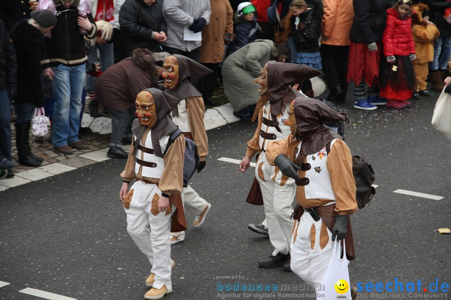 Narrentreffen: Rielasingen am Bodensee, 29.01.2012