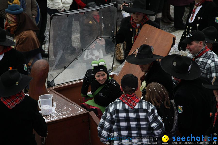 Narrentreffen: Rielasingen am Bodensee, 29.01.2012