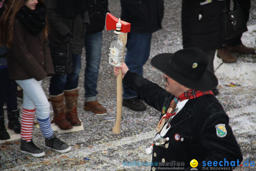 Narrentreffen: Rielasingen am Bodensee, 29.01.2012