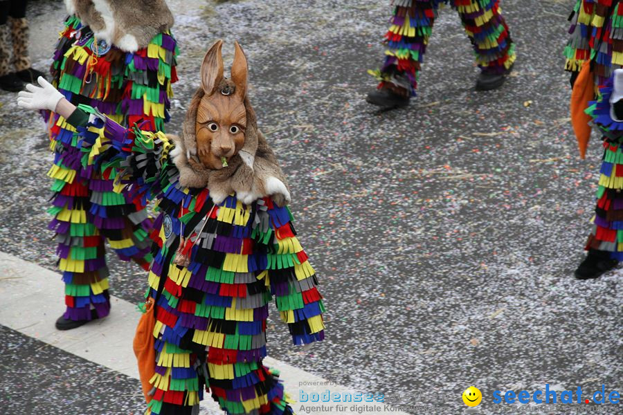 Narrentreffen: Rielasingen am Bodensee, 29.01.2012