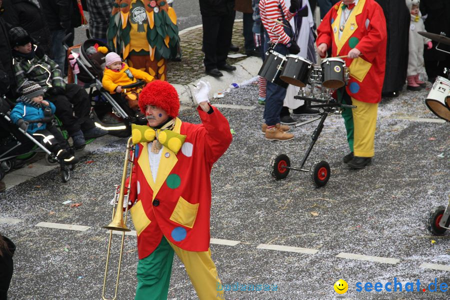 Narrentreffen: Rielasingen am Bodensee, 29.01.2012