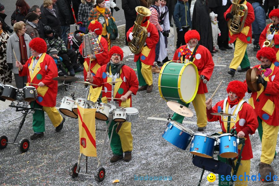 Narrentreffen: Rielasingen am Bodensee, 29.01.2012