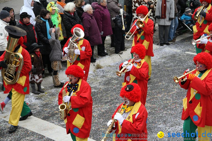 Narrentreffen: Rielasingen am Bodensee, 29.01.2012