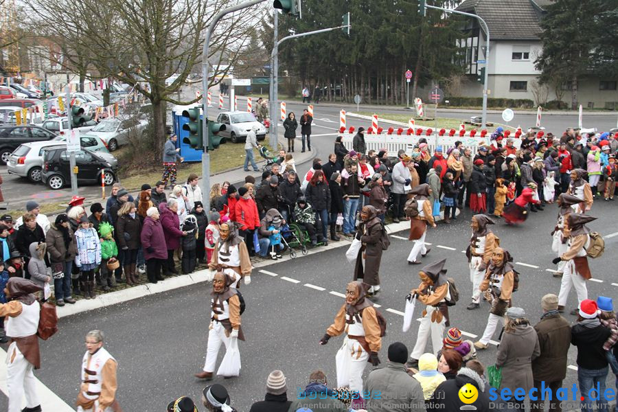 Narrentreffen: Rielasingen am Bodensee, 29.01.2012