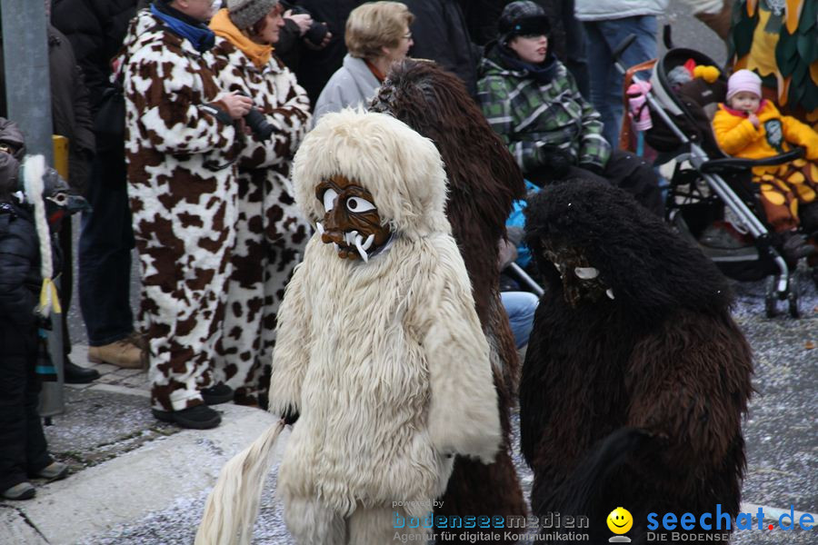 Narrentreffen: Rielasingen am Bodensee, 29.01.2012