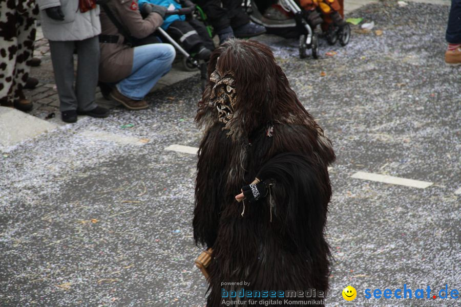 Narrentreffen: Rielasingen am Bodensee, 29.01.2012