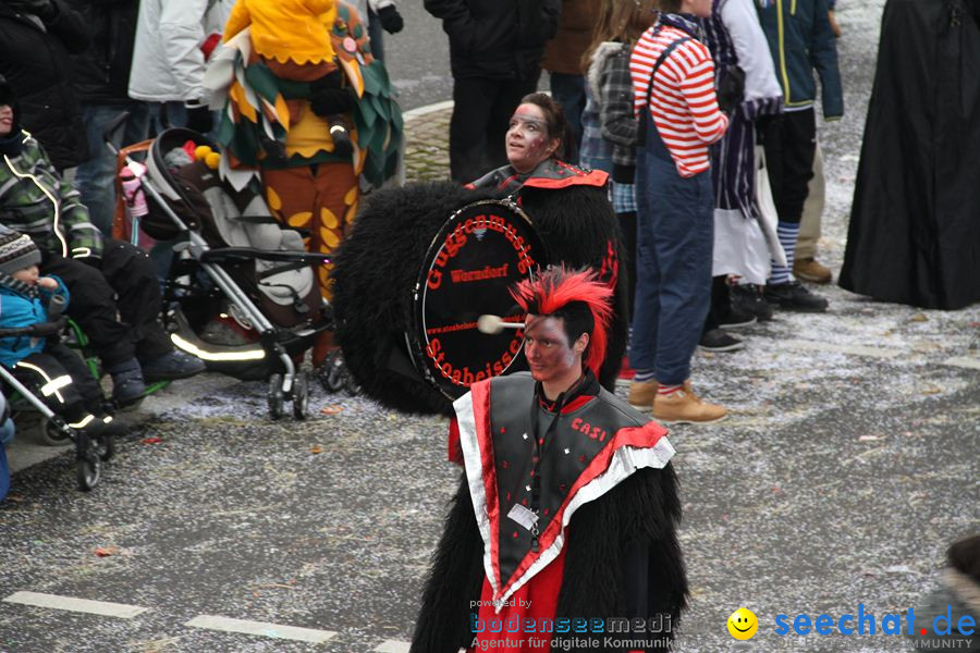 Narrentreffen: Rielasingen am Bodensee, 29.01.2012