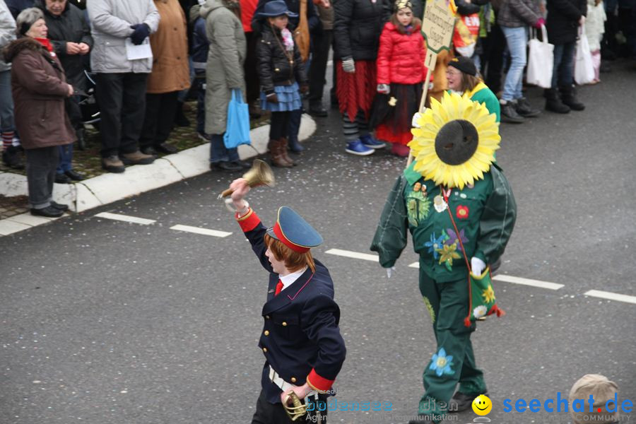 Narrentreffen: Rielasingen am Bodensee, 29.01.2012