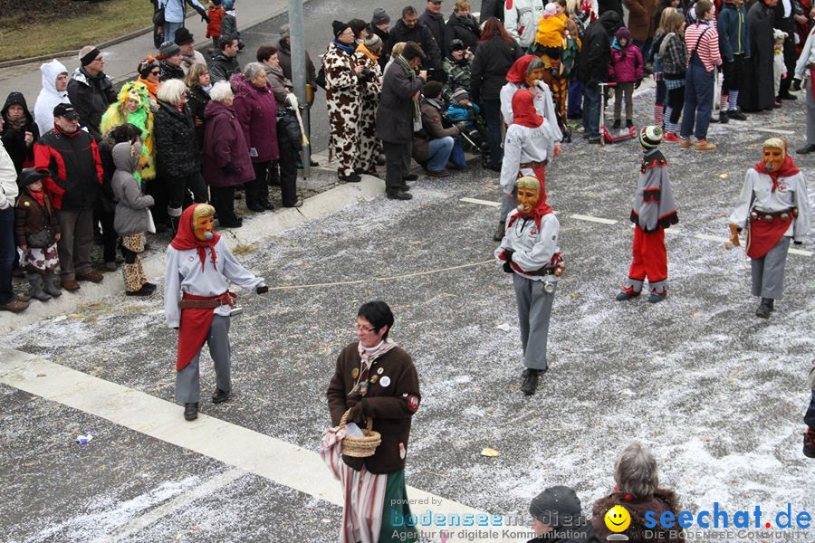 Narrentreffen: Rielasingen am Bodensee, 29.01.2012