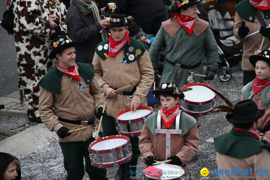 Narrentreffen: Rielasingen am Bodensee, 29.01.2012