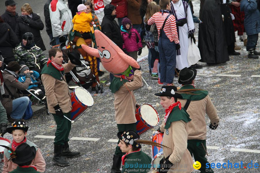 Narrentreffen: Rielasingen am Bodensee, 29.01.2012