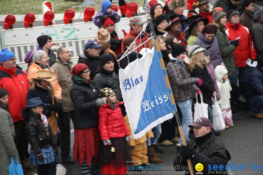 Narrentreffen: Rielasingen am Bodensee, 29.01.2012