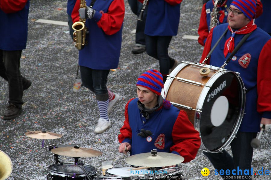 Narrentreffen: Rielasingen am Bodensee, 29.01.2012