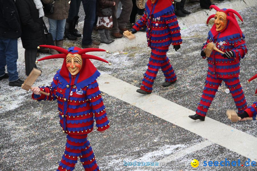 Narrentreffen: Rielasingen am Bodensee, 29.01.2012