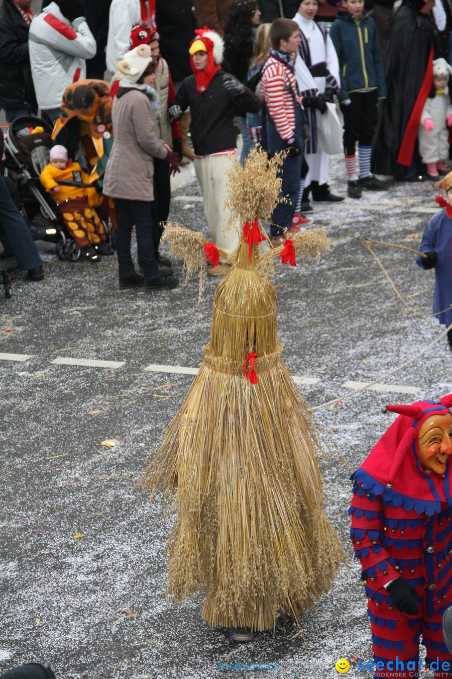 Narrentreffen: Rielasingen am Bodensee, 29.01.2012