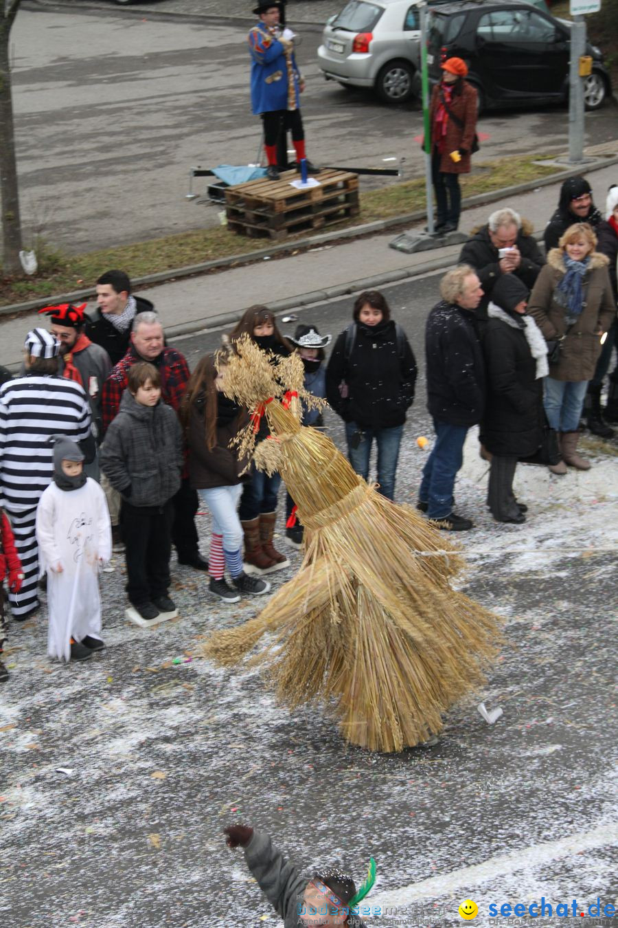 Narrentreffen: Rielasingen am Bodensee, 29.01.2012