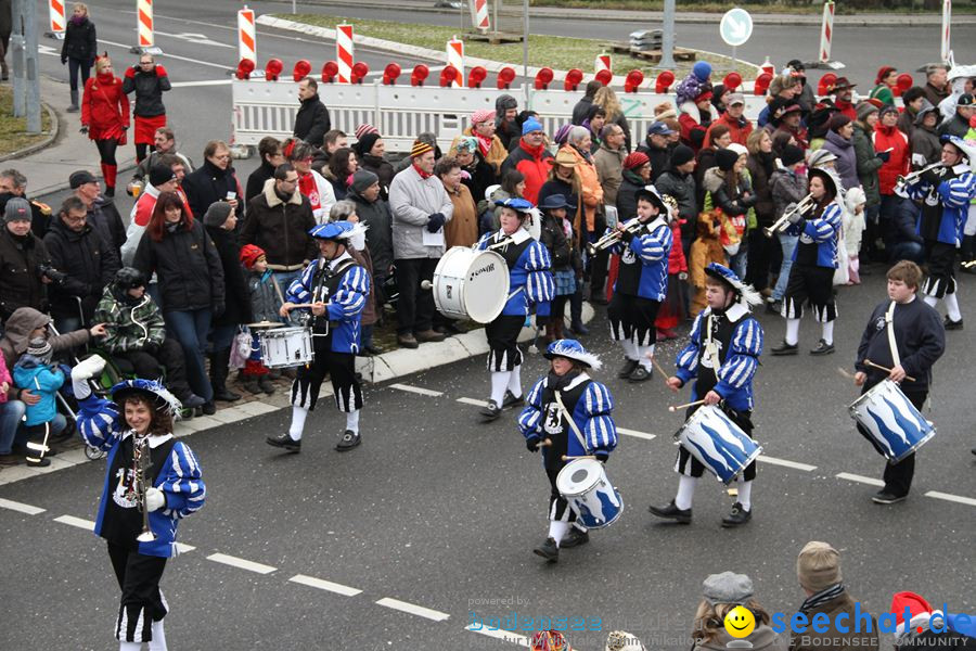 Narrentreffen: Rielasingen am Bodensee, 29.01.2012