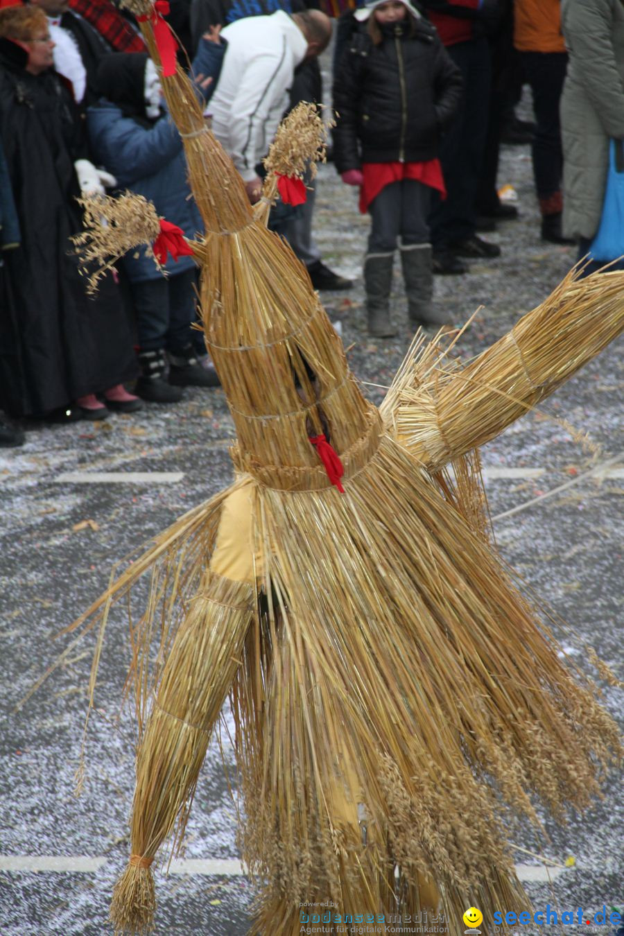 Narrentreffen: Rielasingen am Bodensee, 29.01.2012