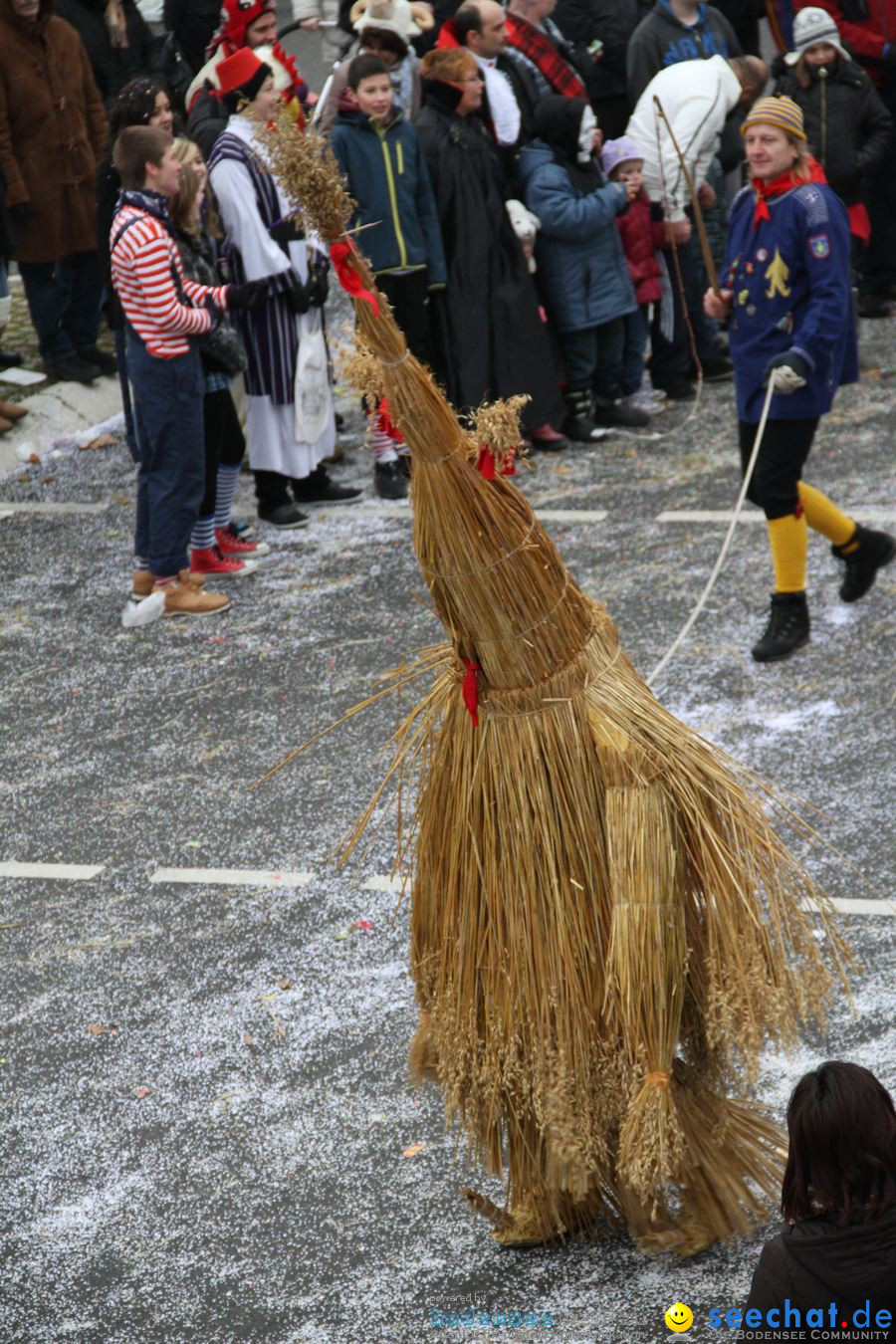 Narrentreffen: Rielasingen am Bodensee, 29.01.2012