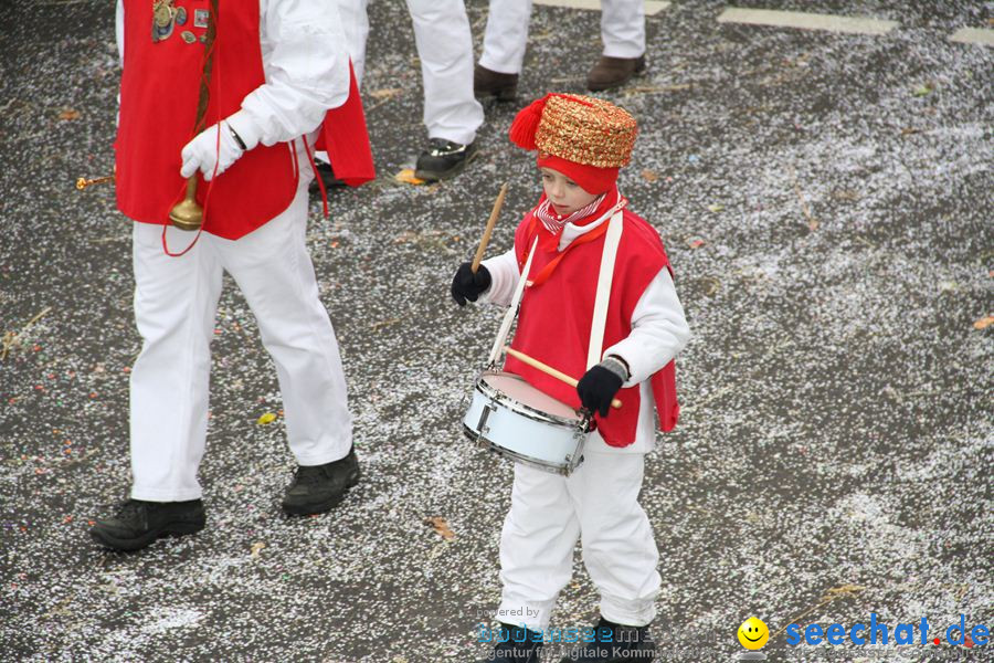 Narrentreffen: Rielasingen am Bodensee, 29.01.2012