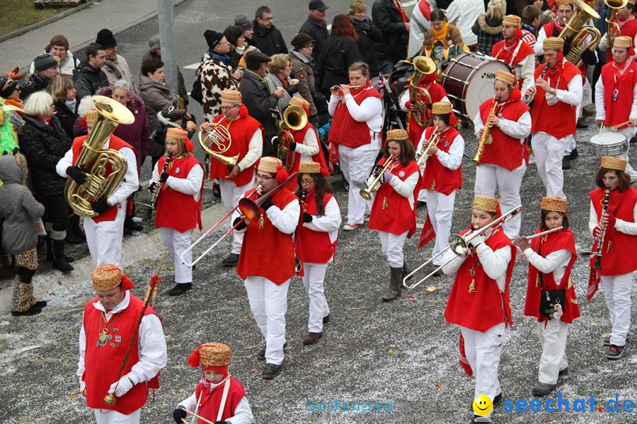 Narrentreffen: Rielasingen am Bodensee, 29.01.2012