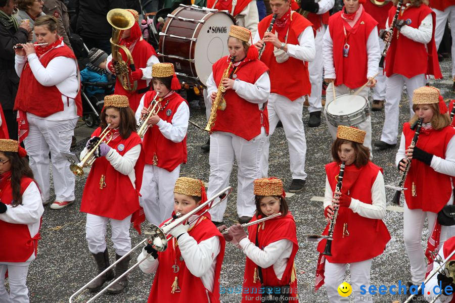 Narrentreffen: Rielasingen am Bodensee, 29.01.2012