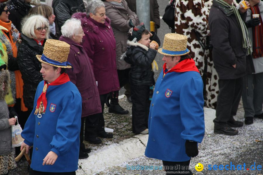 Narrentreffen: Rielasingen am Bodensee, 29.01.2012