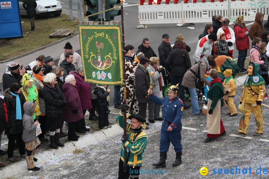 Narrentreffen: Rielasingen am Bodensee, 29.01.2012