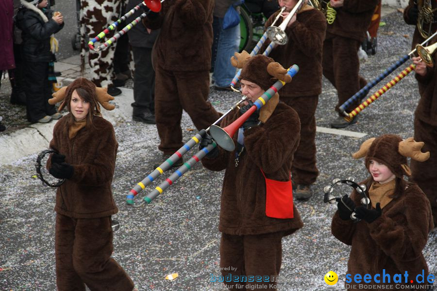 Narrentreffen: Rielasingen am Bodensee, 29.01.2012