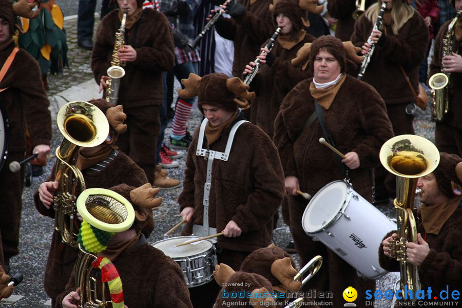 Narrentreffen: Rielasingen am Bodensee, 29.01.2012