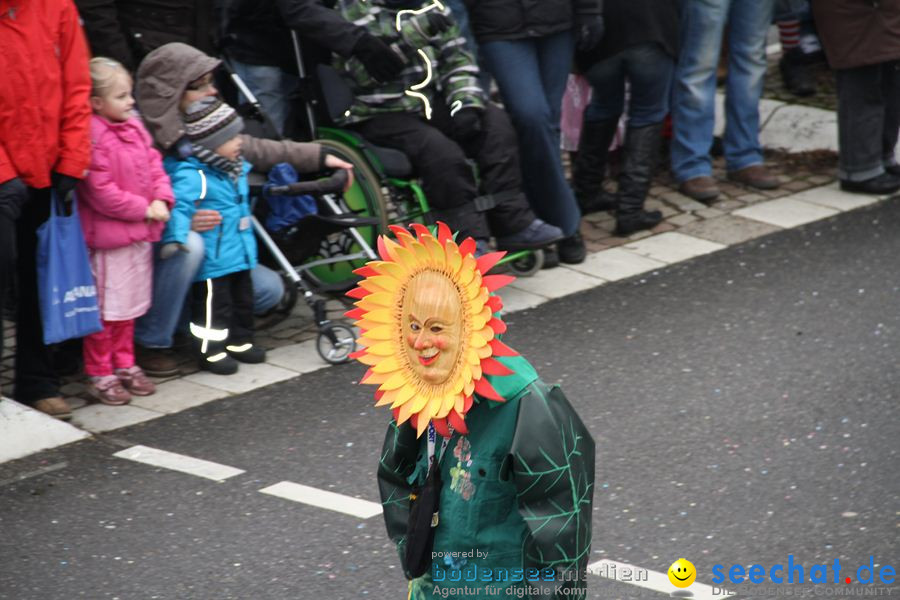 Narrentreffen: Rielasingen am Bodensee, 29.01.2012