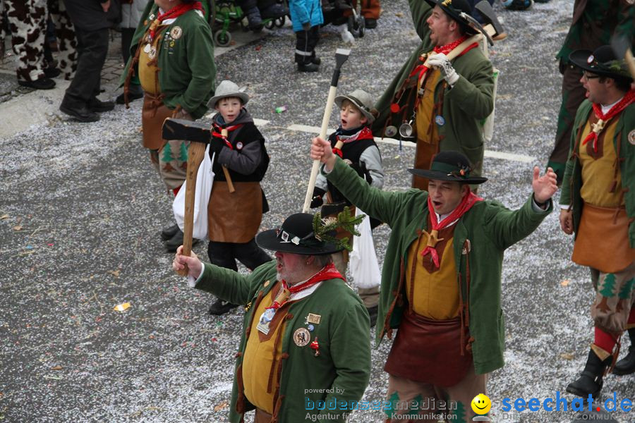 Narrentreffen: Rielasingen am Bodensee, 29.01.2012