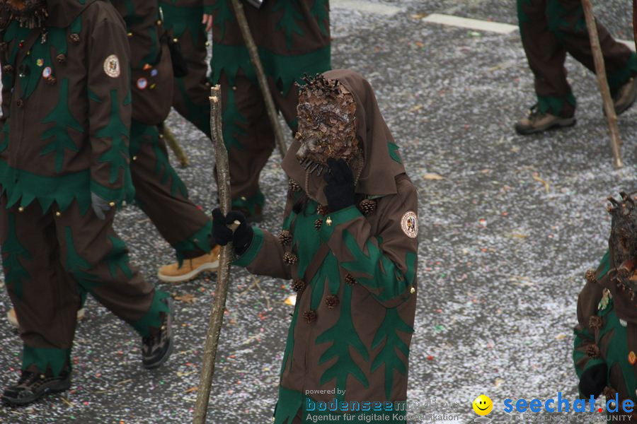 Narrentreffen: Rielasingen am Bodensee, 29.01.2012