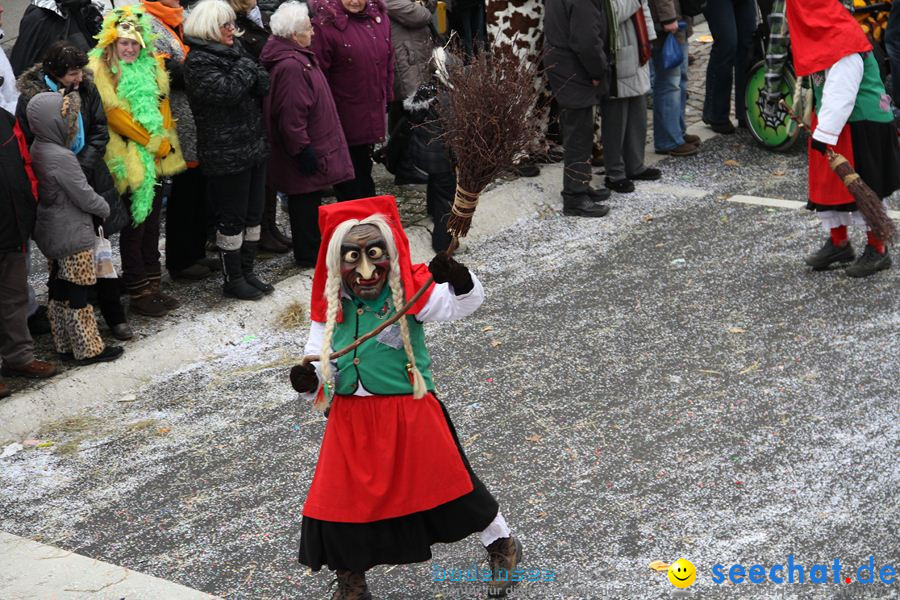 Narrentreffen: Rielasingen am Bodensee, 29.01.2012