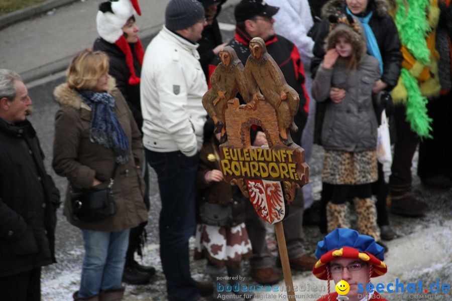 Narrentreffen: Rielasingen am Bodensee, 29.01.2012