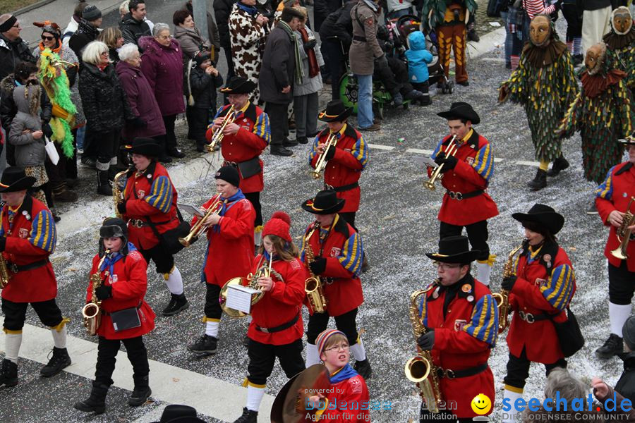 Narrentreffen: Rielasingen am Bodensee, 29.01.2012