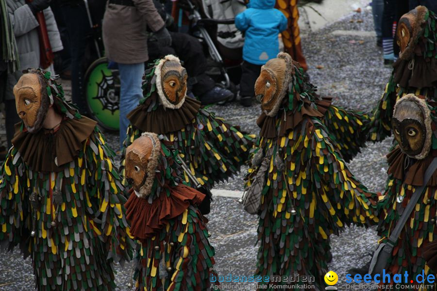 Narrentreffen: Rielasingen am Bodensee, 29.01.2012