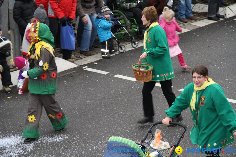 Narrentreffen: Rielasingen am Bodensee, 29.01.2012