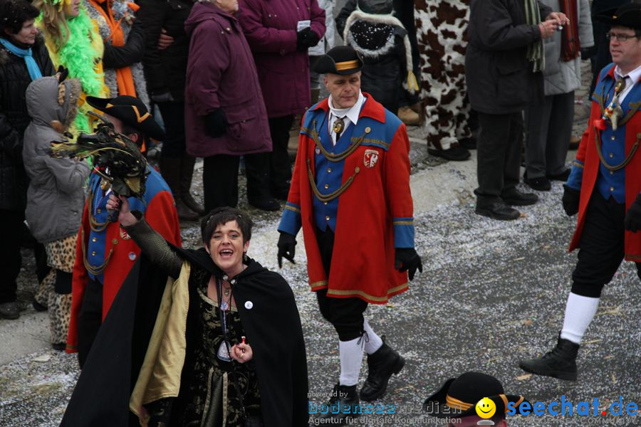 Narrentreffen: Rielasingen am Bodensee, 29.01.2012