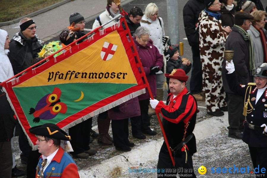 Narrentreffen: Rielasingen am Bodensee, 29.01.2012