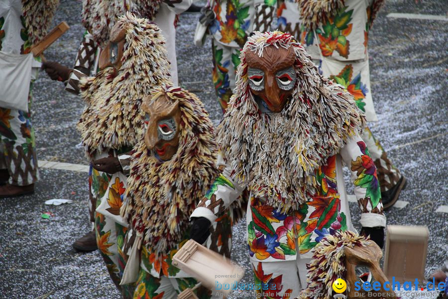 Narrentreffen: Rielasingen am Bodensee, 29.01.2012