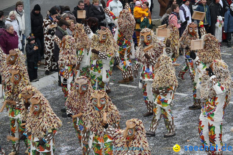 Narrentreffen: Rielasingen am Bodensee, 29.01.2012