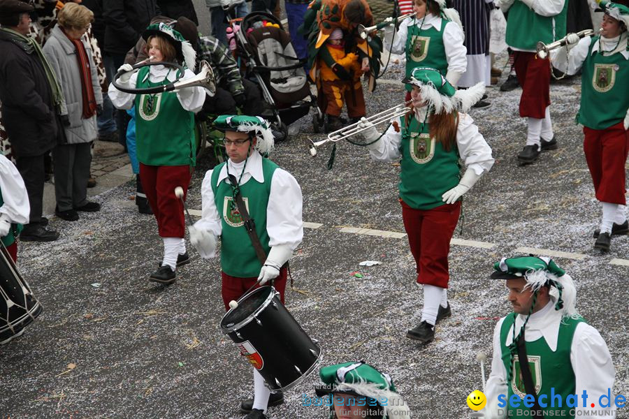 Narrentreffen: Rielasingen am Bodensee, 29.01.2012