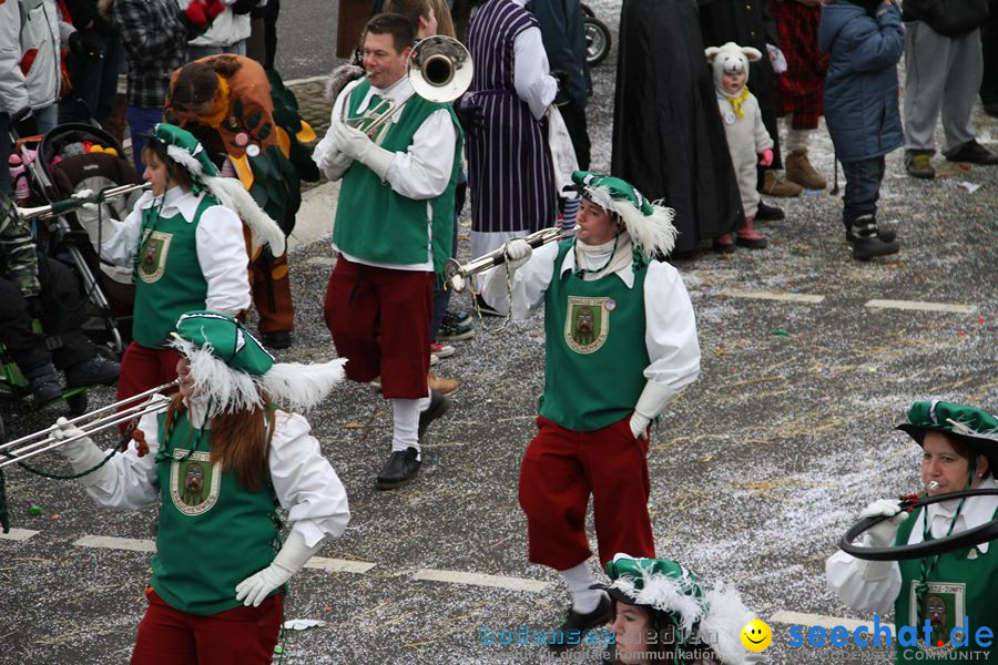 Narrentreffen: Rielasingen am Bodensee, 29.01.2012