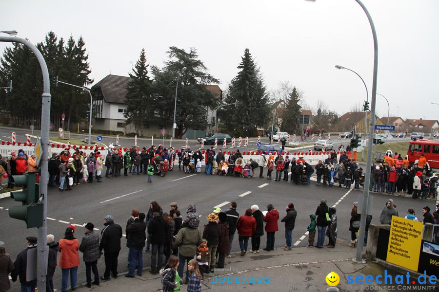 Narrentreffen: Rielasingen am Bodensee, 29.01.2012