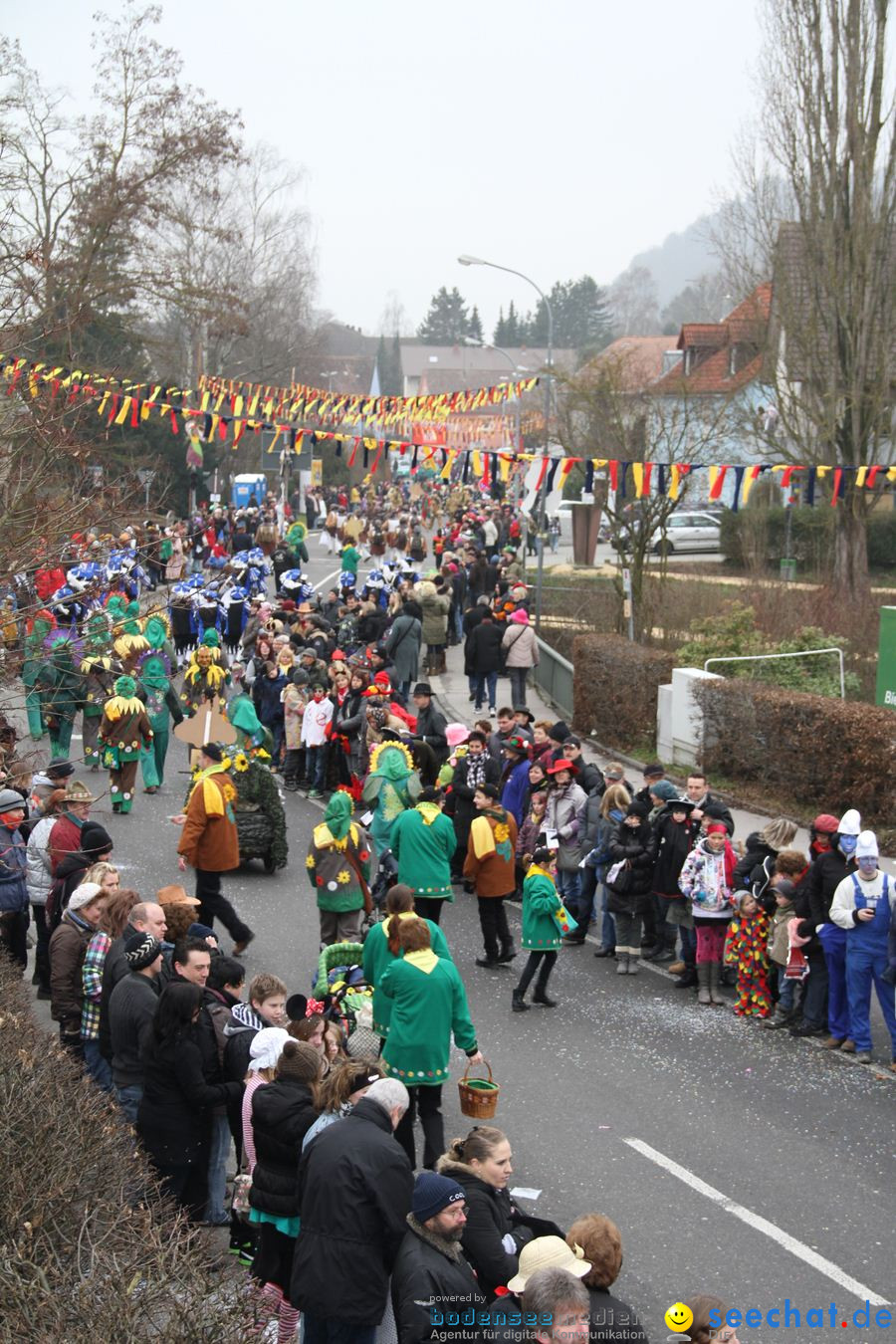 Narrentreffen: Rielasingen am Bodensee, 29.01.2012