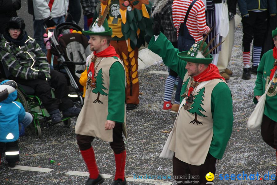 Narrentreffen: Rielasingen am Bodensee, 29.01.2012