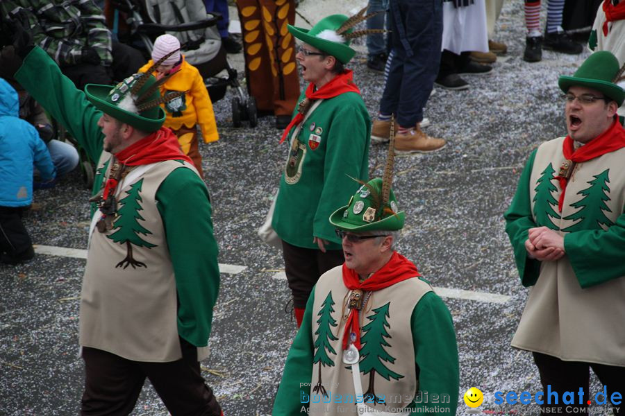 Narrentreffen: Rielasingen am Bodensee, 29.01.2012