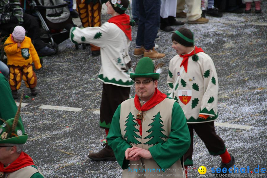 Narrentreffen: Rielasingen am Bodensee, 29.01.2012